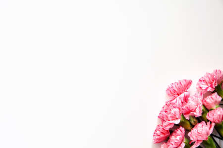 White background copy space with pink flowers in the cornerの写真素材