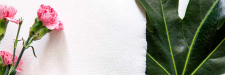 Panoramic photo of copy space made of handmade paper with pink carnations and green leaf