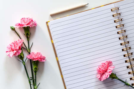 Opened exercise book with pink carnations on a white backgroundの写真素材
