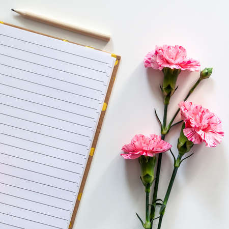 An open notebook with pink carnations on a white blank backgroundの写真素材