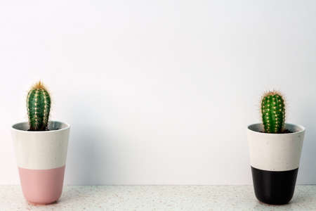 Terrazzo desk on a white background with empty copy space wall with two cactuses in pots