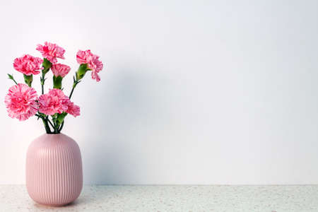 Pink carnations in a striped vase on a white wall copy space backgroundの写真素材
