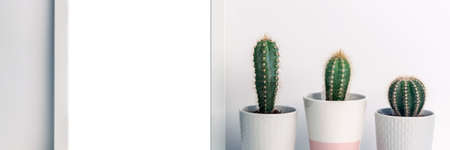 Panoramic photo of a white mockup frame on a background of empty copy space wall with cactuses of a gray flowerpot with a pattern of sweater and one pastel pink terrazzoの写真素材