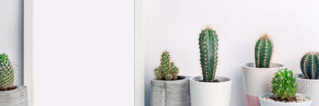 Panoramic photo of a white frame mockup with cactuses in concrete pots on an empty white backgroundの写真素材