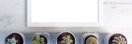 Panoramic top view of a wooden desk, white blank frame and several cactusesの写真素材