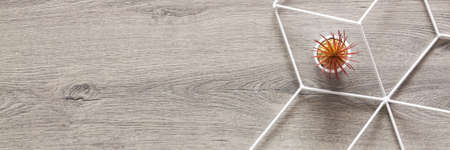 Wooden home desk with a geometric pattern and succulent. Copy space. Panorama.の写真素材