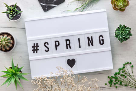 Light box with #SPRING. A group of succulents and cacti. Top view. Flowers and heart. Wooden tableの写真素材
