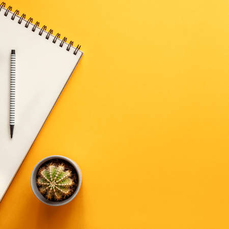 Blank yellow background with place for text. Copy space. Sketchbook, felt-tip pen and cactus in a gray pot as a decoration. Top vie Flat lay. Simple compositionの写真素材