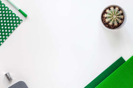 White school creative desk with green elements. Cactus in a pot. Space for text. Copy space. Real photo, top view. School accessoriesの写真素材