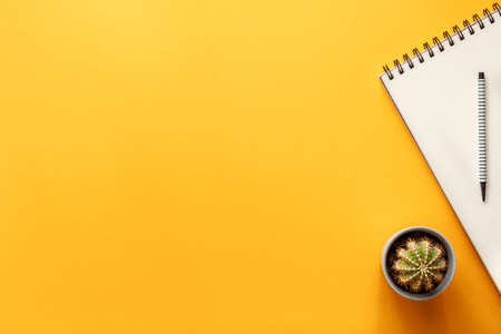 Blank yellow background with place for text. Copy space. Sketchbook, felt-tip pen and cactus in a gray pot as a decoration. View from above. Flat lay, real photo. Minimal compositionの写真素材
