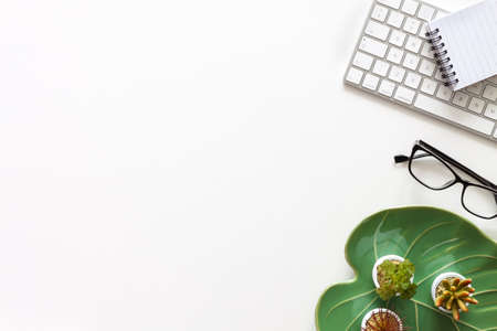 White desk with copy space. Monstera leaf ceramic decoration. Computer keyboard and office supplies....