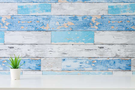 A desk by a wall made of old boards. Copy space. A single plant in a pot. Succulent. Home shelf. Scandinavian style.の写真素材