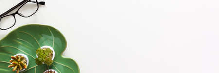 White desk with copy space. Monstera leaf ceramic decoration. View from above. Panorama.の写真素材