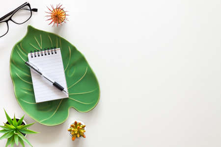 Ceramic monstera leaf with notebook. View from above. Copy space. Succulents in pots.の写真素材