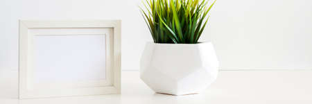 A single green plant against a blank white wall. Mockup frame. Grass in a geometric pot. An isolated object. Panoramaの写真素材