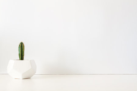 A desk against a white wall. Copy space. Cactus in a geometric pot. Minimal composition.の写真素材