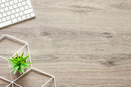 Wooden desk. Top view. Copy space. Decorative plants and keyboard.