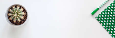 White school creative desk with green elements like dots paper. Cactus in a coll. Space for text. Copy space. Real photo, panoramic top view. School accessoriesの写真素材