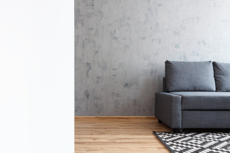 Concrete wall, geometric woven carpet. Living room with a gray sofa. White copy space.の写真素材