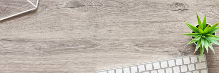 Wooden desk. Top view. Copy space. Home office. Decorative plants. Bannerの写真素材