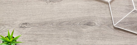 Wooden desk. Top view. Copy space. Decorative plants. Bannerの写真素材