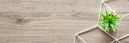 Wooden desk. Top view. Copy space. Decorative plants. Bannerの写真素材