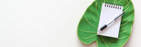 Rectangular black frame poster with succulent plant in concrete pot on white floor and stone wall. Bannerの写真素材