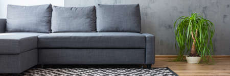 Living room with a gray sofa. Concrete wall, geometric woven carpet and copy space. The plant on the...