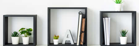 Home office. Homework. Square shelves. Succulents as decoration. White wall. Banner. Panorama.の写真素材