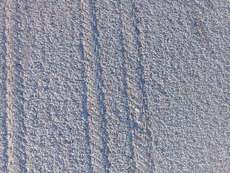 Ground with shells on the beachの写真素材