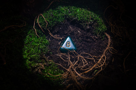Close-up RPG scene of a 8-sided die in the dirt with roots and moss  in a circle of light.