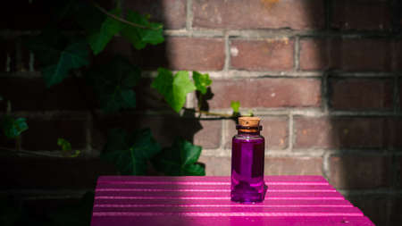 Image of a glass bottle with pink liquid on a pink surface in the sunの写真素材