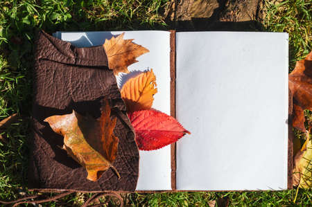 Overhead Image of an open notebook with autumn leaves on the grass in the afternoon sunの写真素材