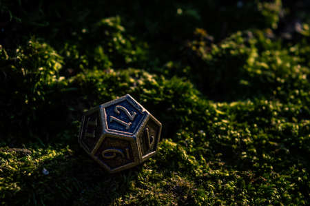 Close-up image of a12-sided metal role-playing gaming die in the sun