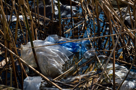 Plastic waste in the water between the reed on a sunny day