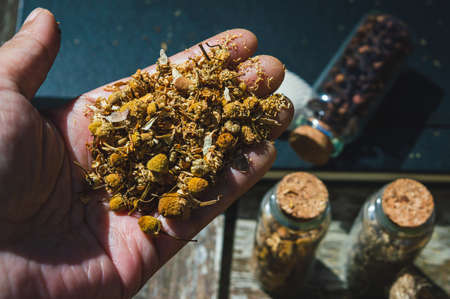 A hand full of dried chamomile within the background glass bottles filled with dried herbs