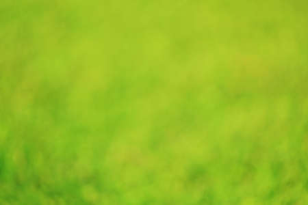 green backgroundの写真素材