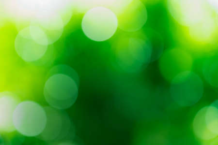 Green Backgroundの写真素材