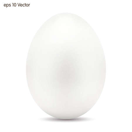 Egg on a white background. Vectorのイラスト素材