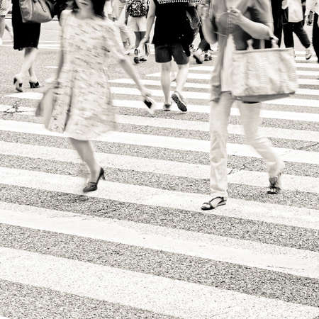 zebra crossingの写真素材