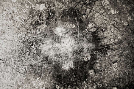 steel textureの写真素材