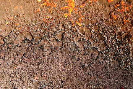 Rusty metal textureの写真素材