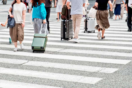 zebra crossingの写真素材