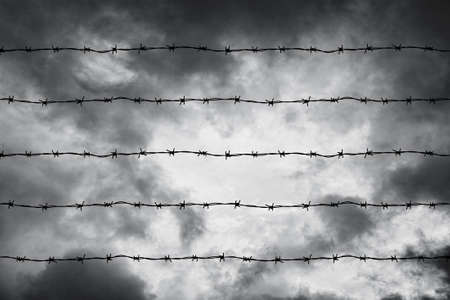wire fence in the sky background