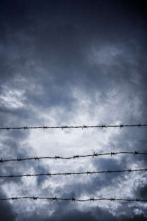 wire fence in the sky background