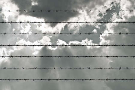 wire fence in the sky backgroundの写真素材