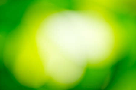 bokeh backgroundの写真素材
