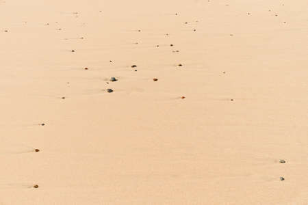 Stones in the beachの写真素材