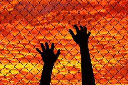 Prison Barbed Wire Fence at Sunsetの写真素材