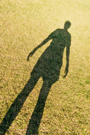 Man shadow on grassの写真素材